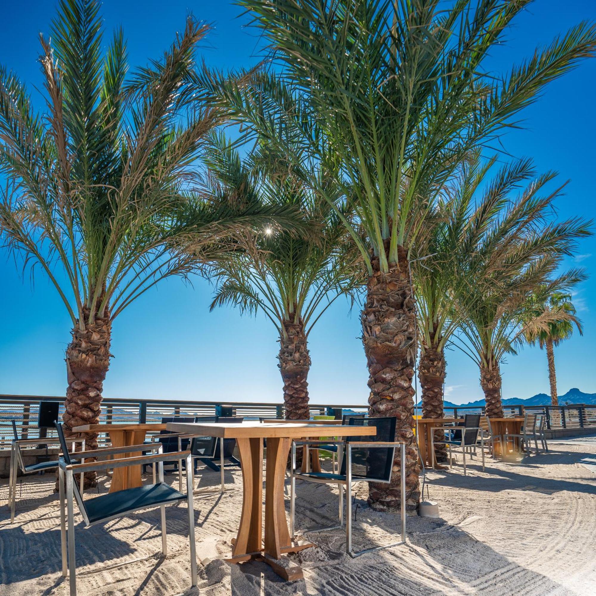 לייק הבאסו סיטי The Nautical Beachfront Resort מראה חיצוני תמונה