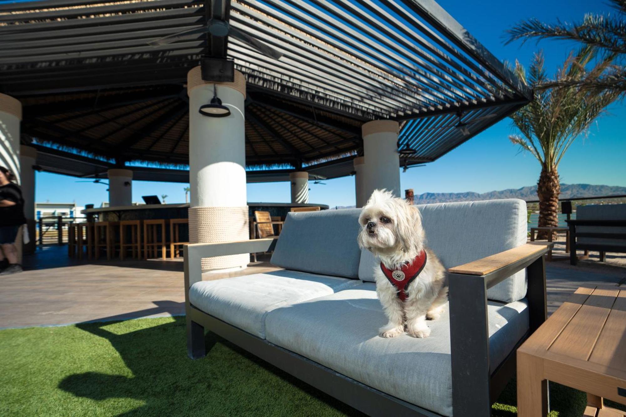 לייק הבאסו סיטי The Nautical Beachfront Resort מראה חיצוני תמונה